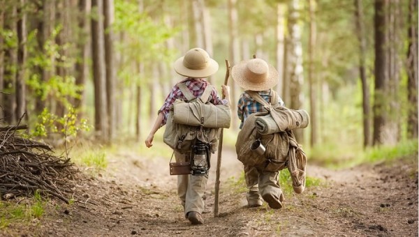 Explorons la forêt